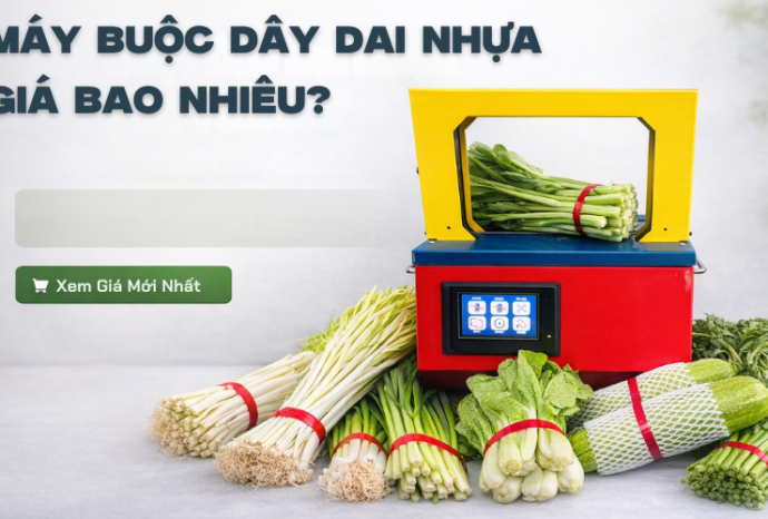 Máy Buộc Dây Đai Nhựa Giá Bao Nhiêu Và Nên Mua Ở Đâu Uy Tín?