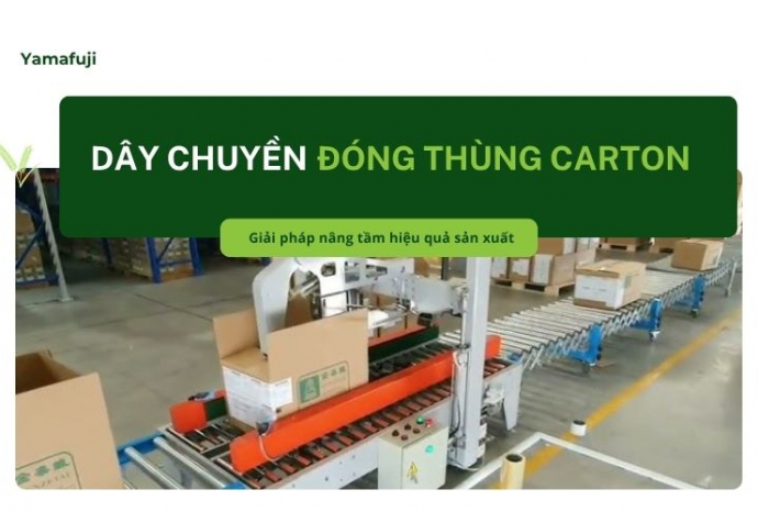 Dây chuyền đóng thùng carton: Giải pháp nâng tầm sản xuất