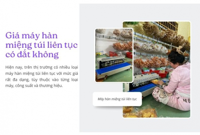 Giá máy hàn miệng túi liên tục có đắt không