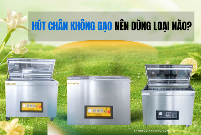 Hút chân không gạo nên dùng loại nào? Top 3 máy tin dùng