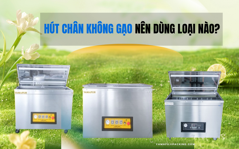 Hút chân không gạo nên dùng loại nào? Top 3 máy tin dùng