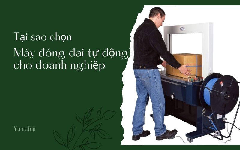 Tại sao chọn máy đóng đai thùng tự động cho doanh nghiệp