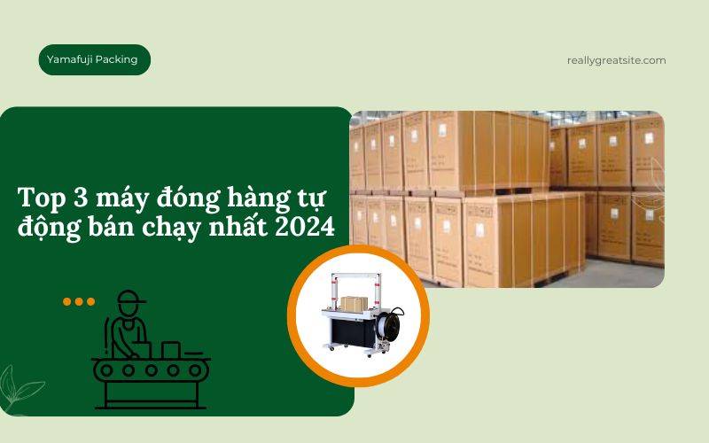 Top 3 máy đóng hàng tự động bán chạy nhất 2024