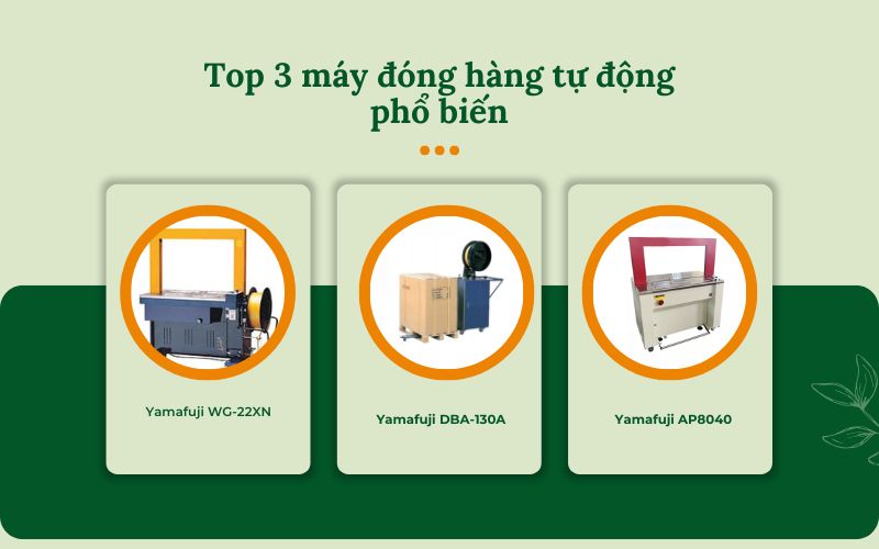 Top 3 máy đóng hàng tự động phổ biến