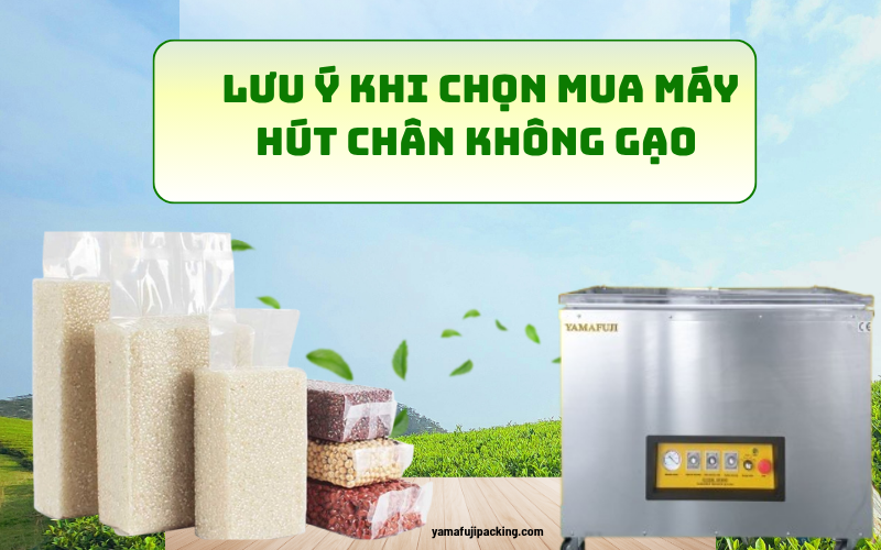Những điều cần lưu ý khi chọn mua máy hút chân không gạo