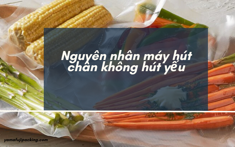 Nguyên nhân khiến máy hút chân không hút yếu