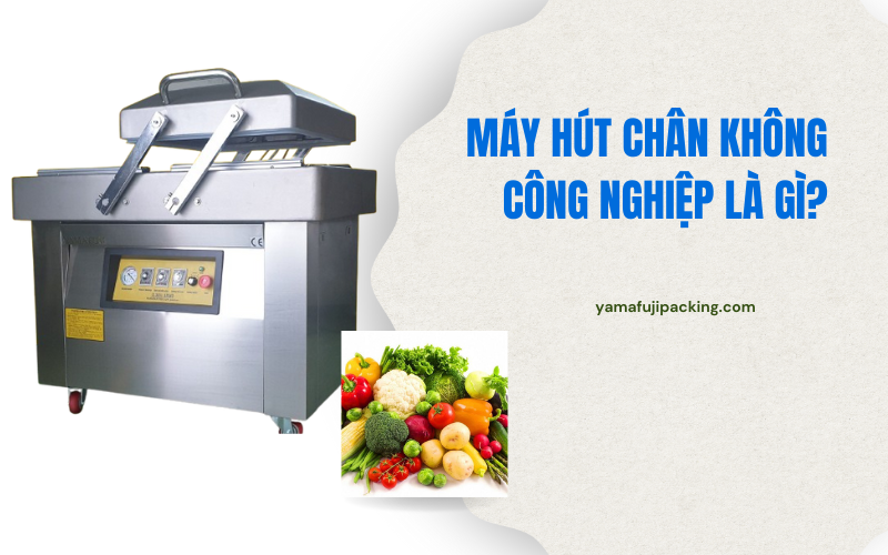 Máy hút chân không công nghiệp là gì? Có nên mua?