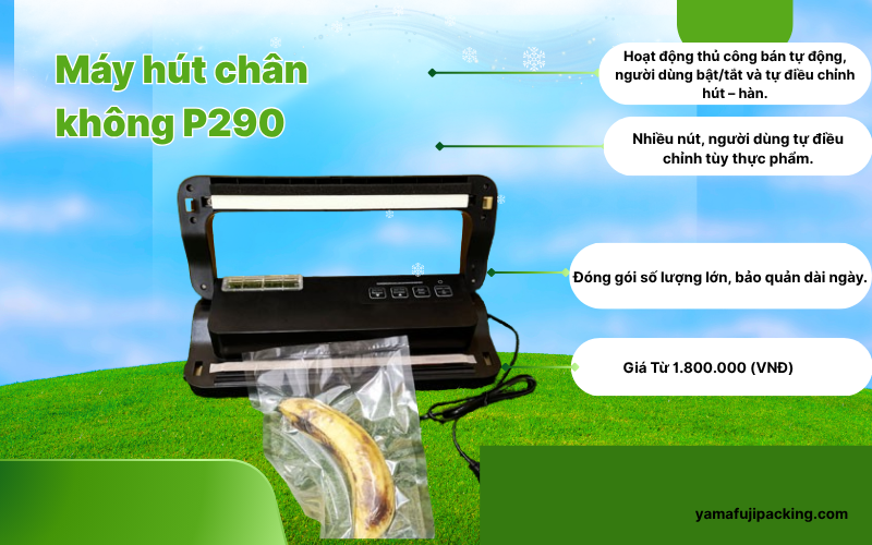 So sánh máy hút chân không P290 và P290B - Chi tiết