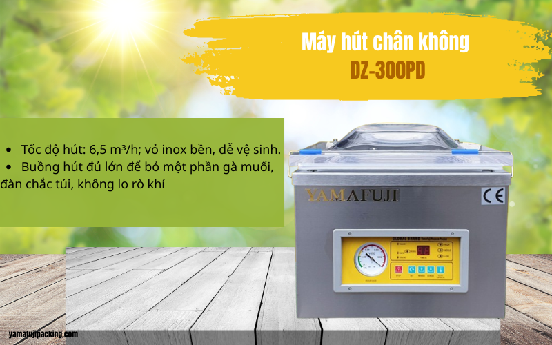 Máy hút chân không Yamafuji DZ-300PD