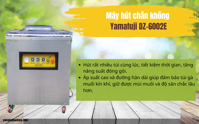 Máy hút chân không Yamafuji DZ-6002E