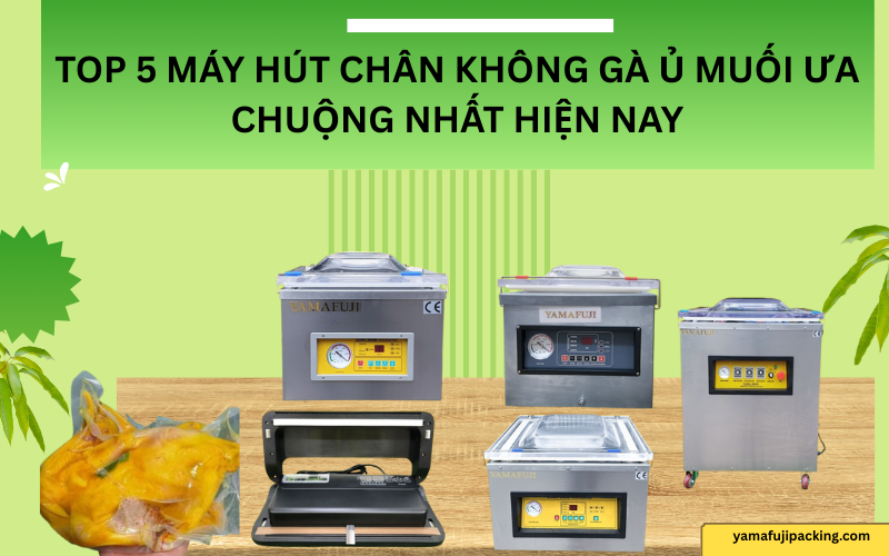 Top 5 máy hút chân không gà ủ muối chất lượng