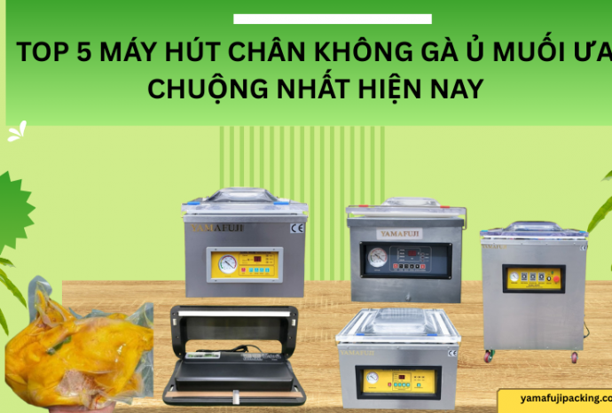 Top 5 máy hút chân không gà ủ muối ưa chuộng nhất hiện nay