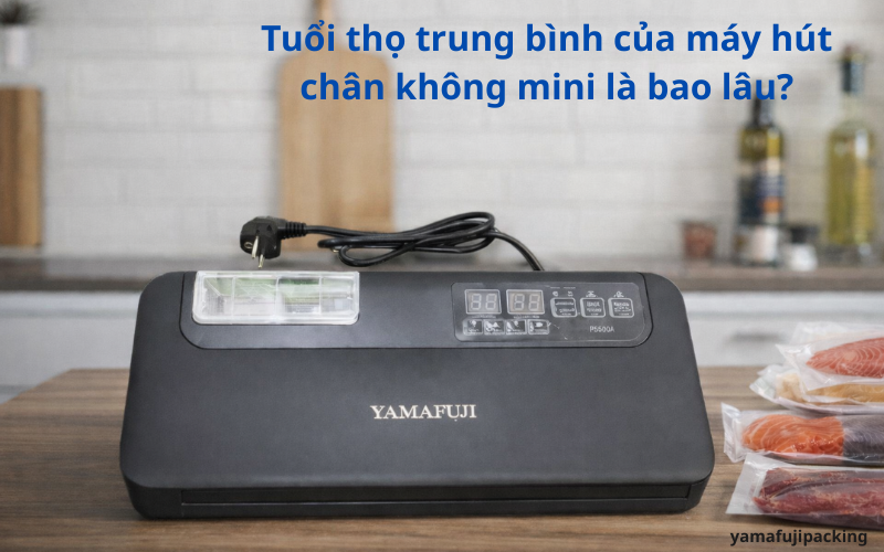 Tuổi thọ trung bình của máy hút chân không mini là bao lâu?