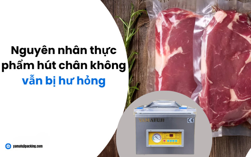Nguyên nhân thực phẩm hút chân không vẫn bị hư hỏng