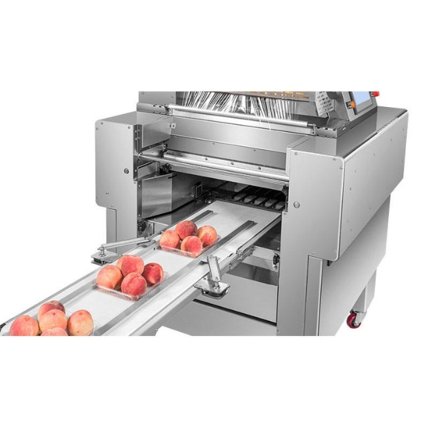 Máy bọc màng thực phẩm liên tục tự động Yamafuji AR25