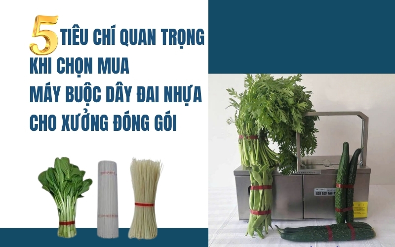 5 tiêu chí quan trọng khi chọn mua máy buộc dây đai nhựa cho xưởng đóng gói