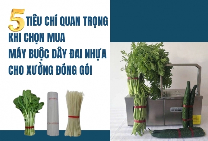 5 tiêu chí quan trọng khi chọn mua máy buộc dây đai nhựa cho xưởng đóng gói