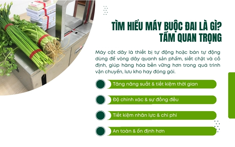 Tìm hiểu máy buộc đai là gì? Tầm quan trọng