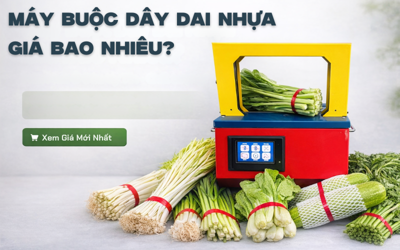 Máy Buộc Dây Đai Nhựa Giá Bao Nhiêu Và Nên Mua Ở Đâu Uy Tín?