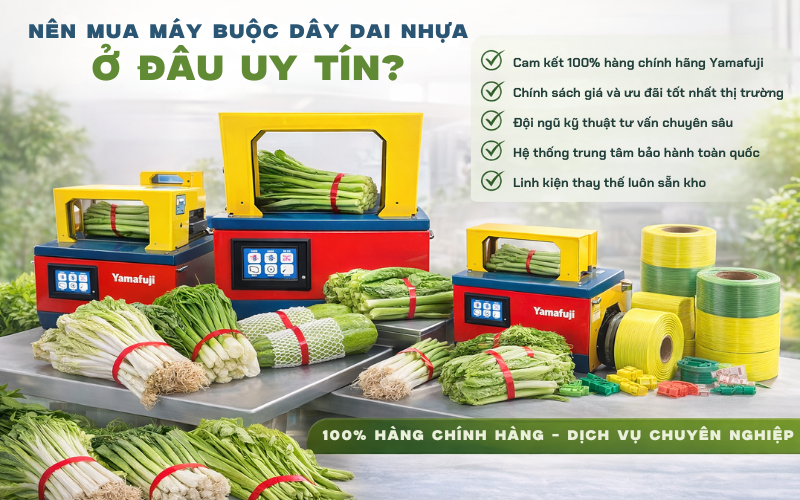 Nên mua máy buộc dây đai nhựa ở đâu uy tín?