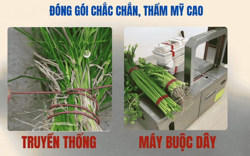 Ưu điểm của máy buộc dây đai 
