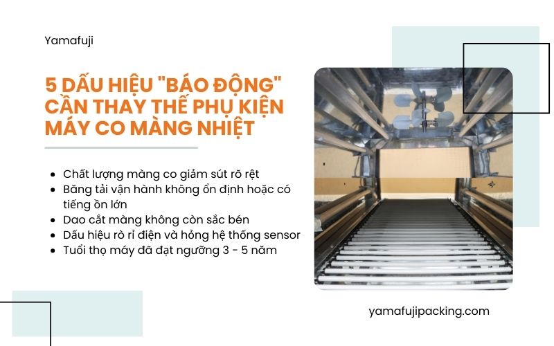 5 dấu hiệu