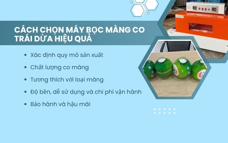 Cách chọn máy bọc màng co trái dừa hiệu quả 