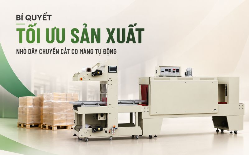 Bí quyết tối ưu sản xuất nhờ dây chuyền cắt co màng tự động