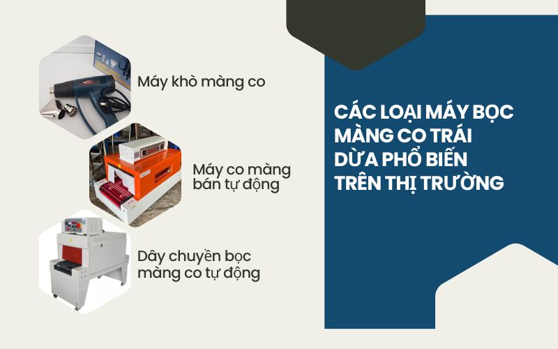 Các loại máy bọc màng co trái dừa phổ biến