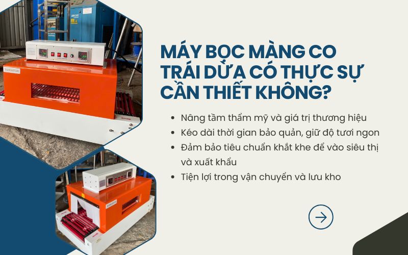 Máy bọc màng co trái dừa có thực sự cần thiết không?