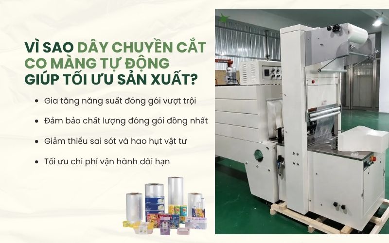 Vì sao dây chuyền cắt co màng tự động giúp tối ưu sản xuất?