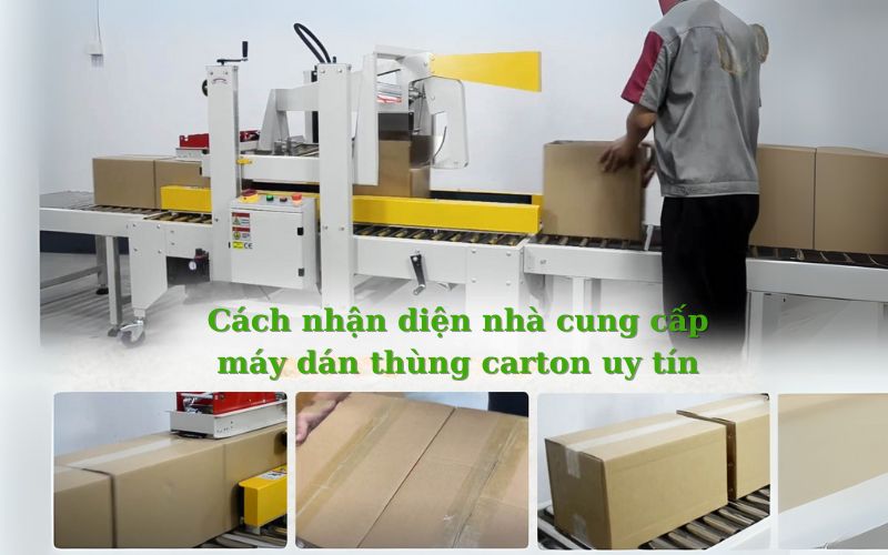 Cách nhận diện nhà cung cấp máy dán thùng carton uy tín