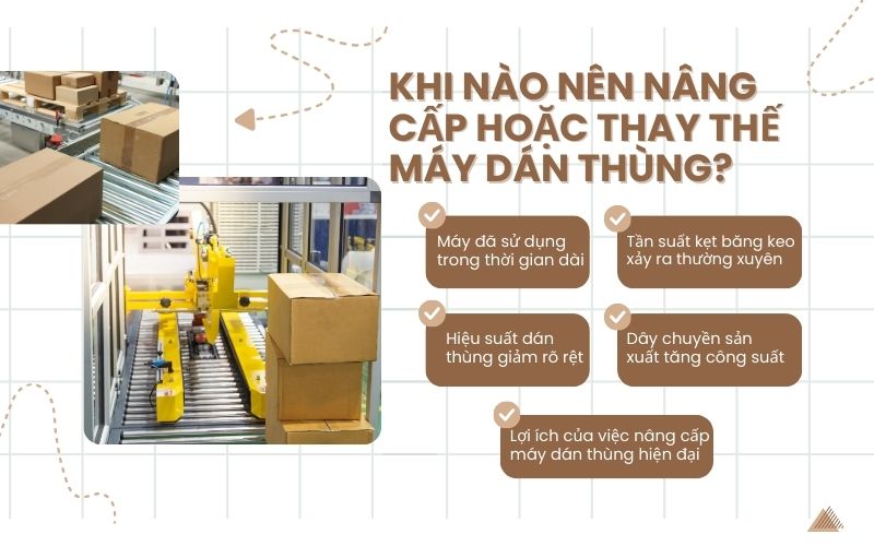 Khi nào nên nâng cấp hoặc thay thế máy dán thùng?