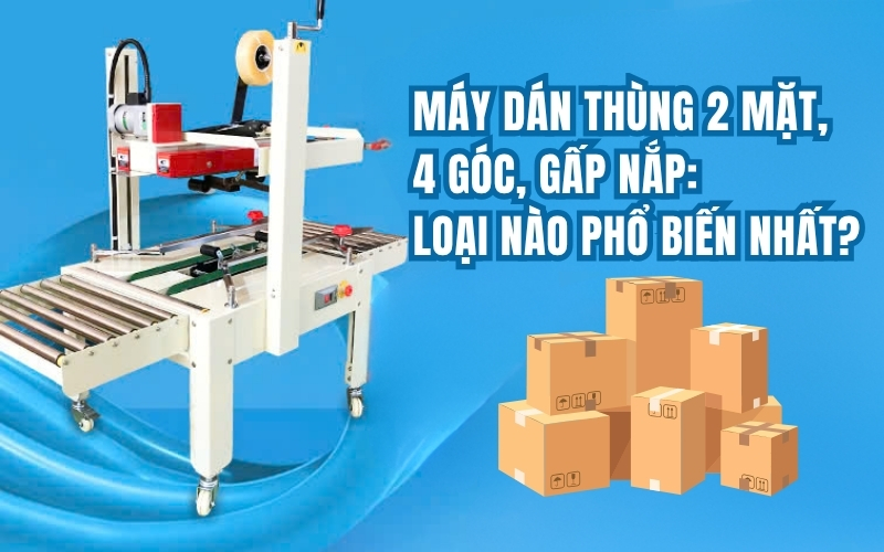 Máy dán thùng 2 mặt, 4 góc, gấp nắp: Loại nào phổ biến nhất