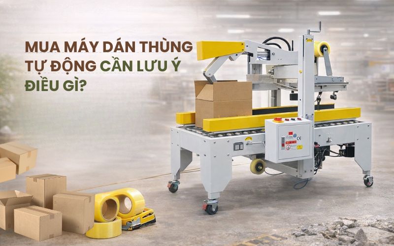 Mua máy dán thùng tự động cần lưu ý điều gì?