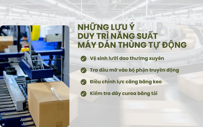 Những lưu ý để duy trì năng suất máy dán thùng tự động 