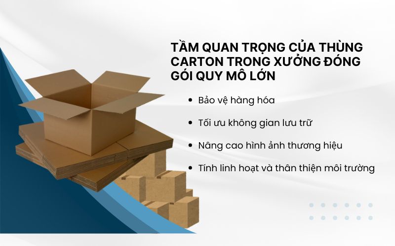 Tầm quan trọng của thùng carton trong xưởng đóng gói quy mô lớn