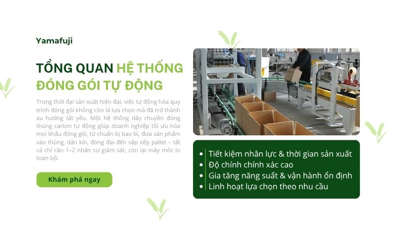 Tổng quan hệ thống đóng gói tự động 