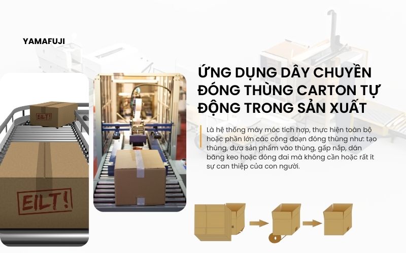 Ứng dụng dây chuyền đóng thùng carton tự động