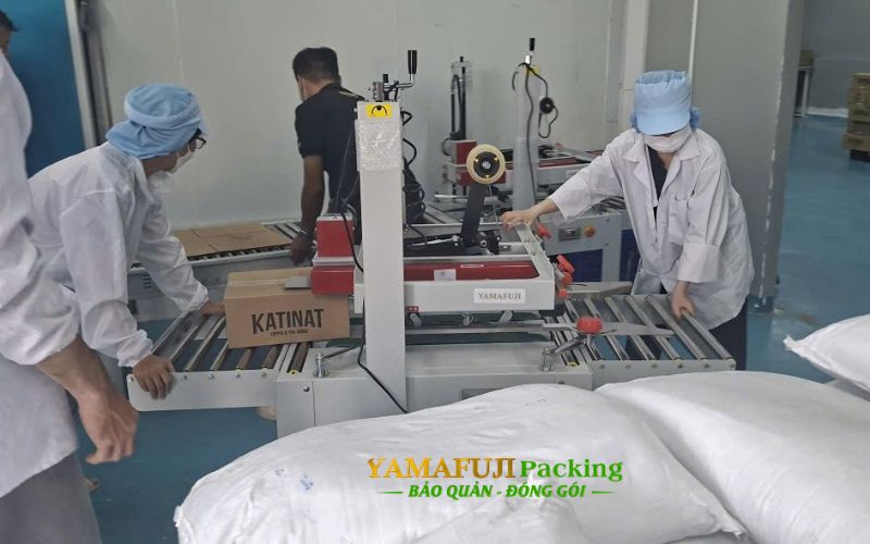 Kĩ thuật giao máy đóng thùng carton FXJ 6050, băng tải 1m