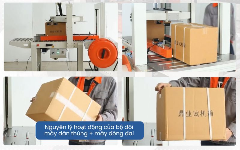 Nguyên lý hoạt động của bộ đôi máy dán thùng + máy đóng đai 