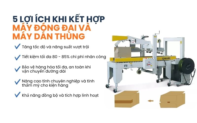 5 Lợi ích khi kết hợp máy đóng đai và máy dán thùng