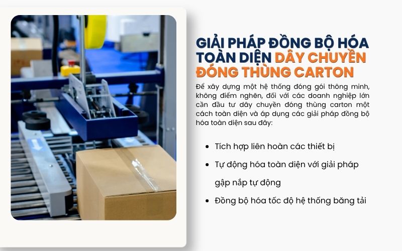 Giải pháp đồng bộ hóa toàn diện dây chuyền đóng thùng carton