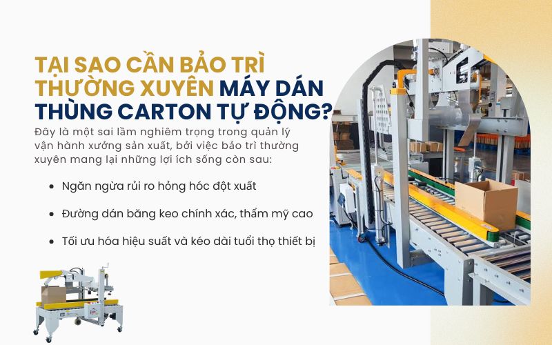 Tại sao cần bảo trì thường xuyên máy dán thùng carton tự động?