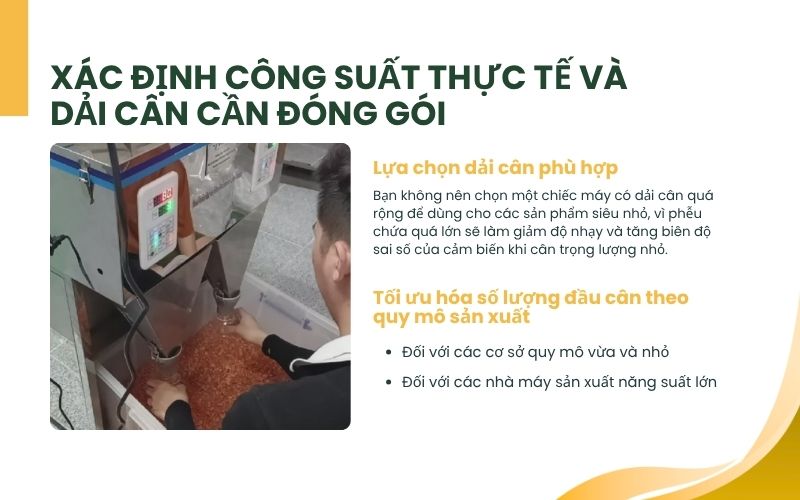Xác định công suất thực tế và dải cân cần đóng gói