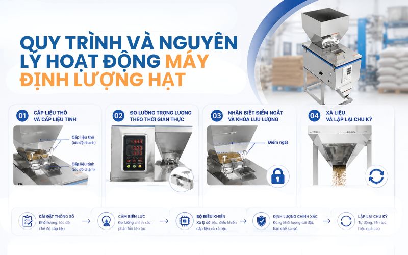 Quy trình và nguyên lý hoạt động máy định lượng hạt