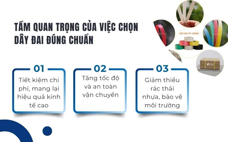 Tầm quan trọng của việc chọn dây đai đúng chuẩn