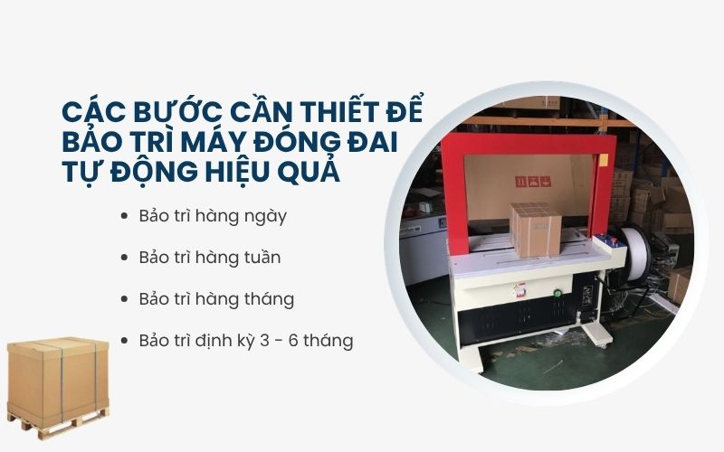 Các bước cần thiết để bảo trì máy đóng đai tự động hiệu quả