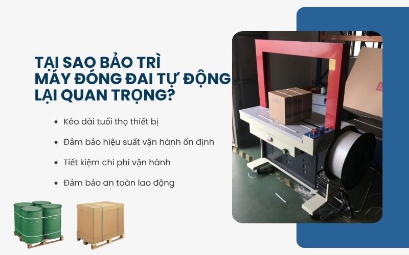 Tại sao bảo trì máy đóng đai tự động lại quan trọng?