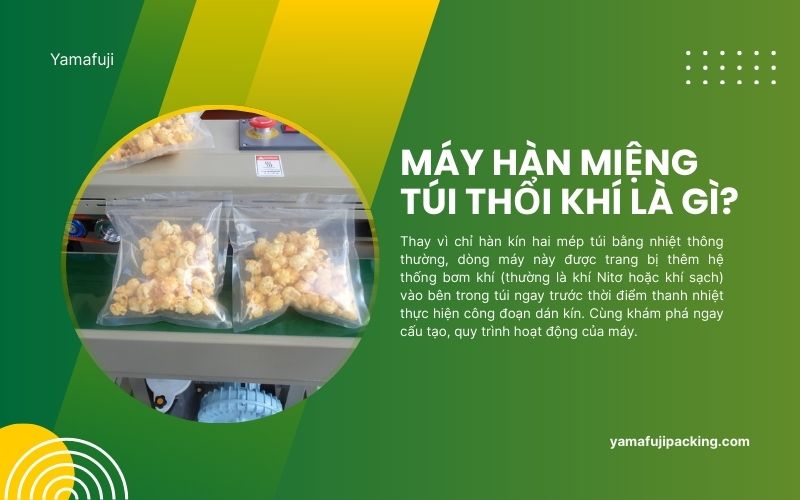 Tìm hiểu chung về máy hàn túi thổi khí